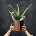 Potted succulent garden held by hands with crystals delivery austin tx