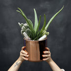 Potted succulent garden held by hands with crystals delivery austin tx
