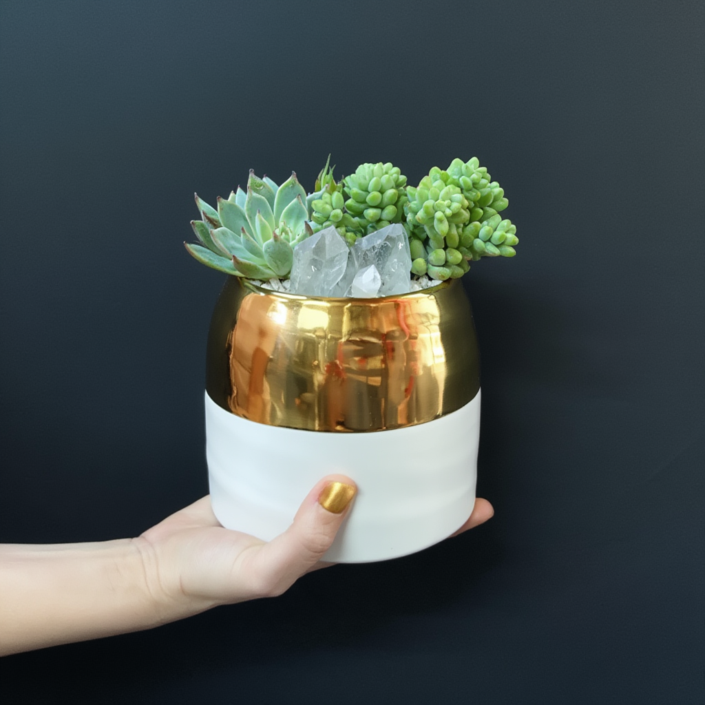 succulent shipping The Bigger Little Succulent Delivery in Austin, TX – Posey Floral & The Little Posey